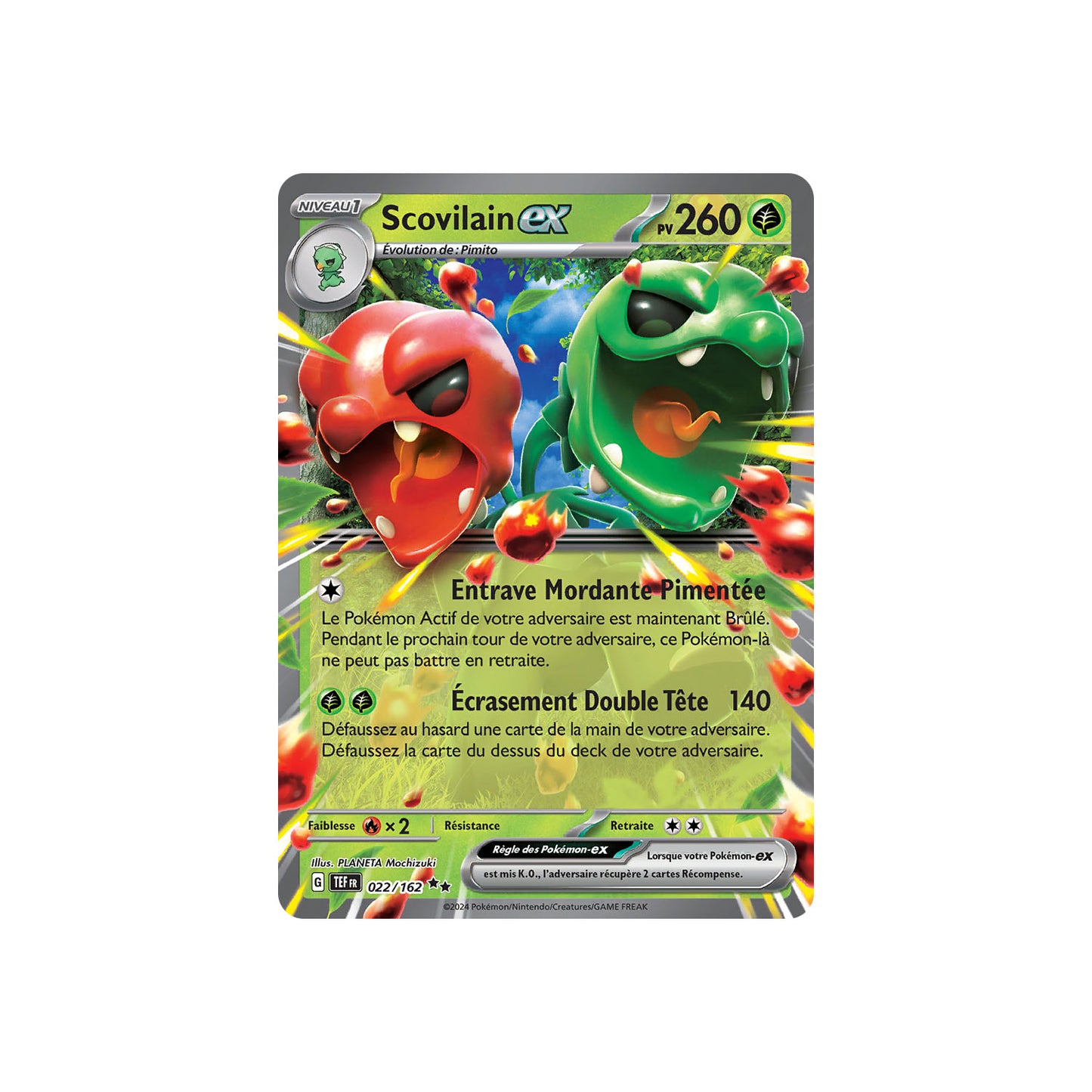 Scovilain ex (TEF 022) - FR