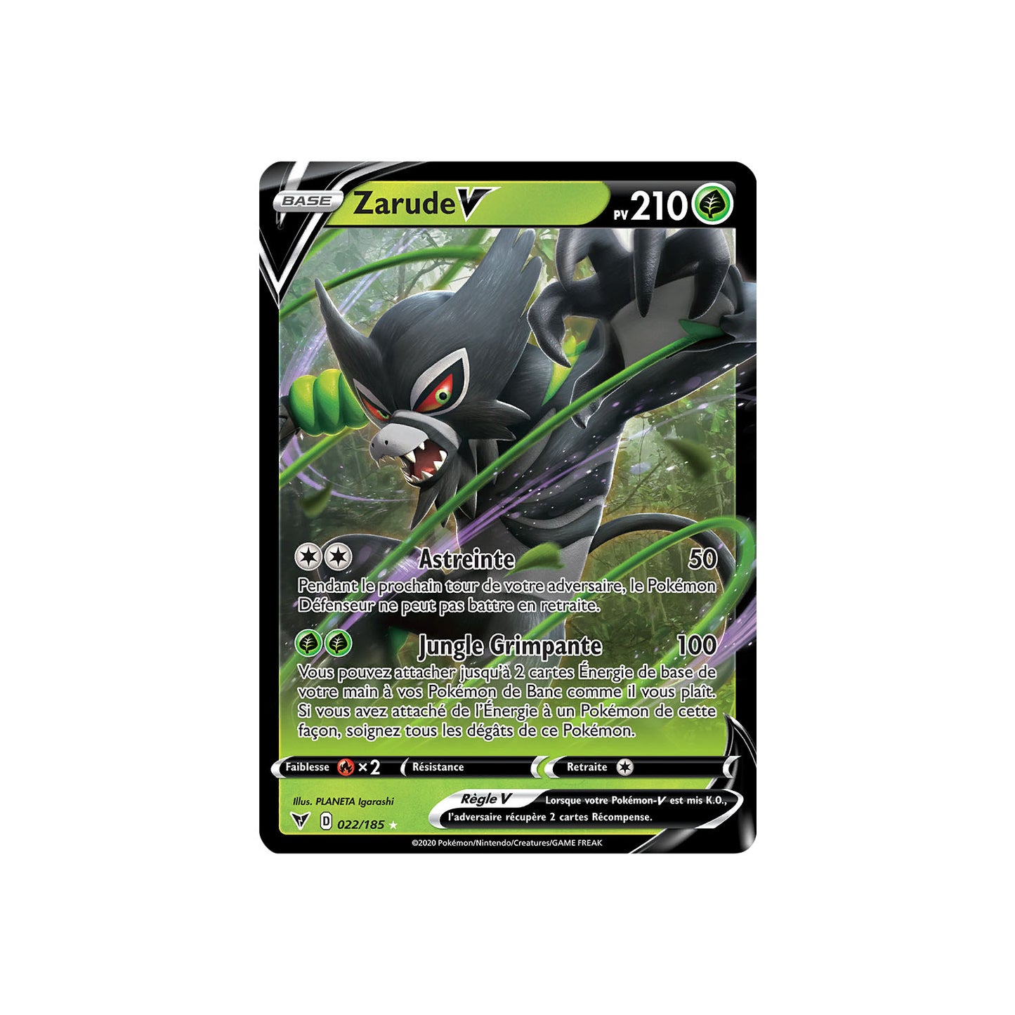 Zarude V (VIV 22) - FR