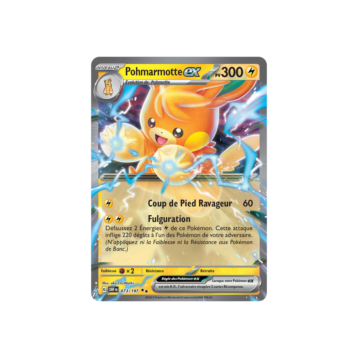 Pohmarmotte ex (OBF 073) - FR