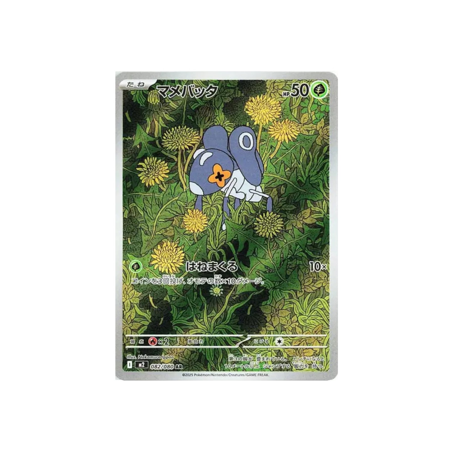 Lilliterelle (m2 082) - JAP