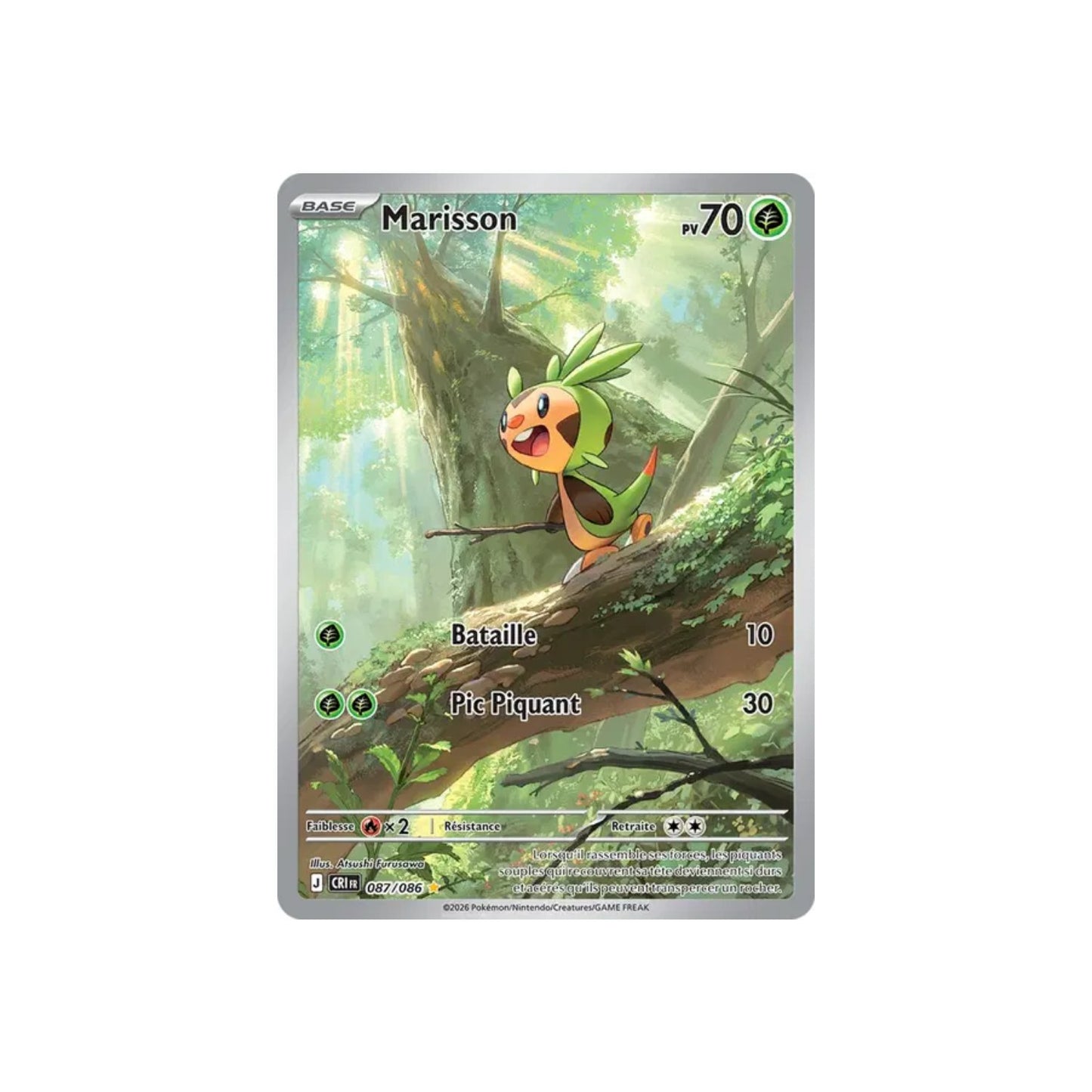 Chespin (CRI 087) - FR