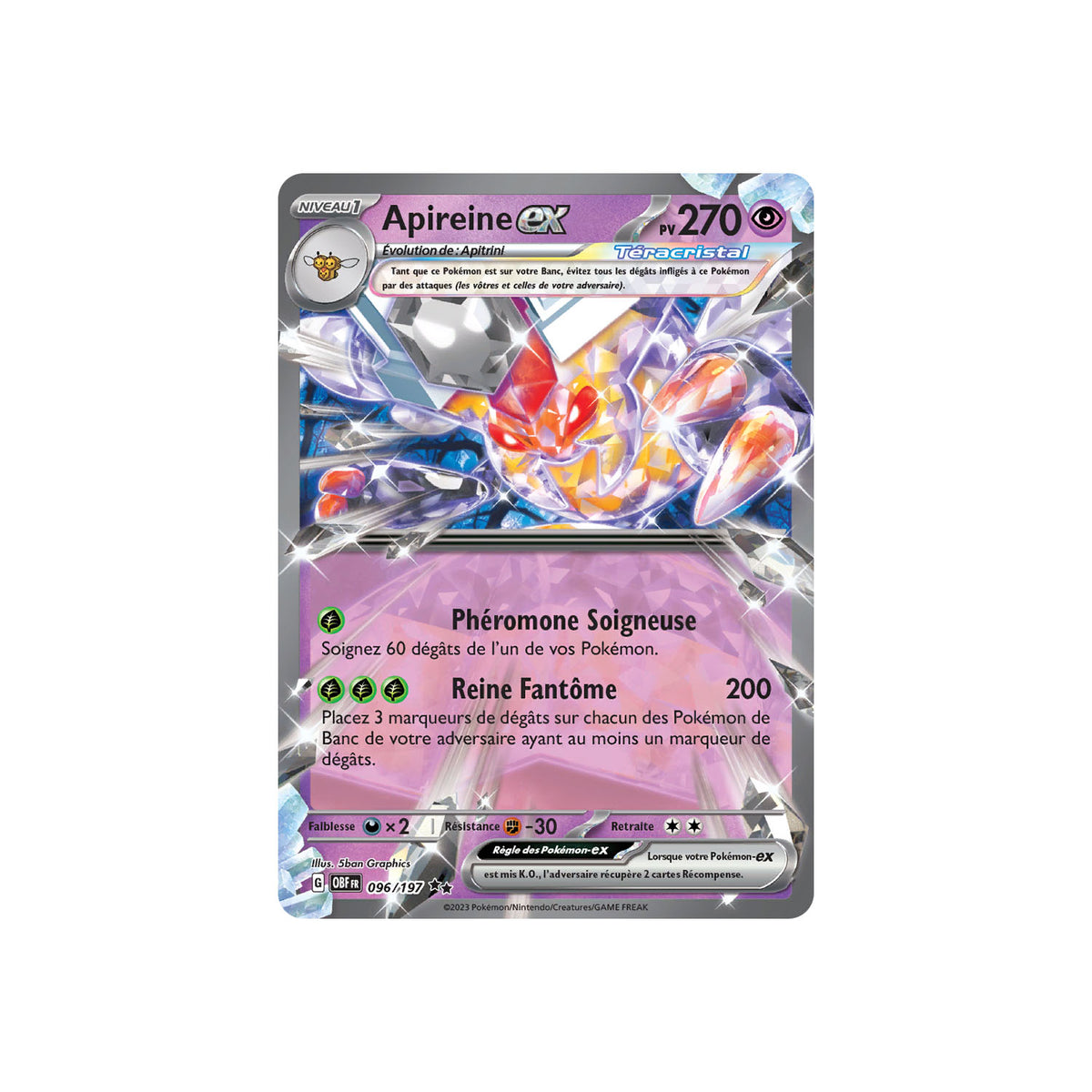 Apireine ex (OBF 096) - FR