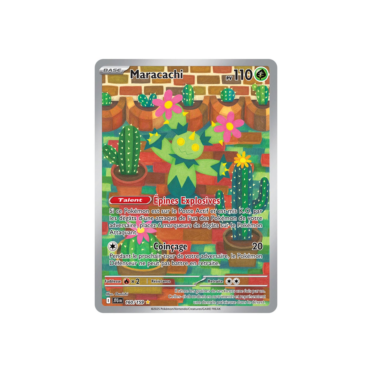 Maracachi (JTG 160) - FR