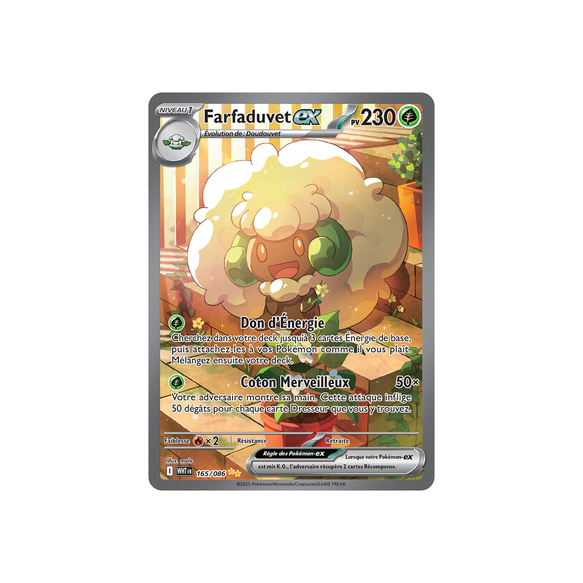 Farfaduvet ex (WHT 165) - FR