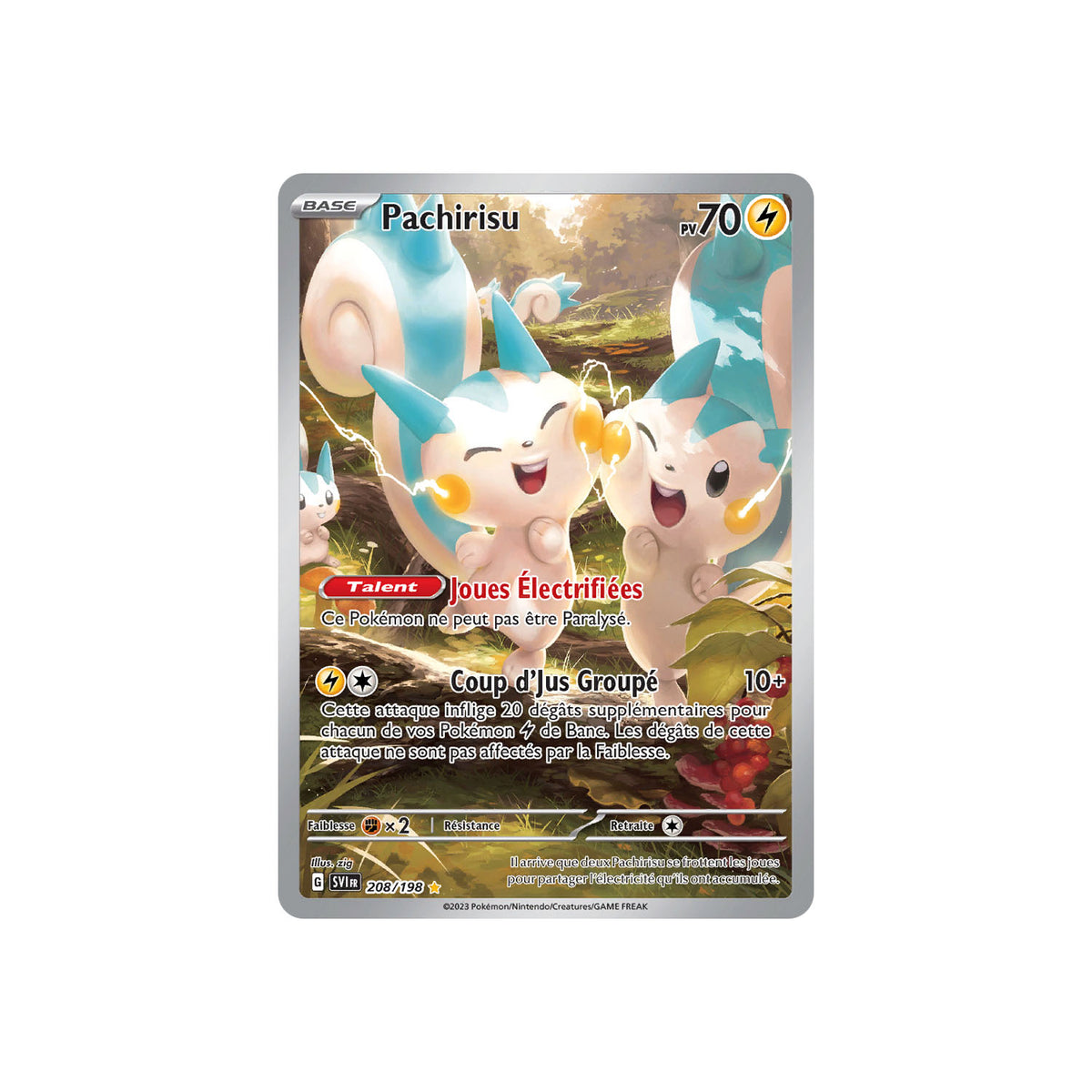 Pachirisu (SVI 208) - FR