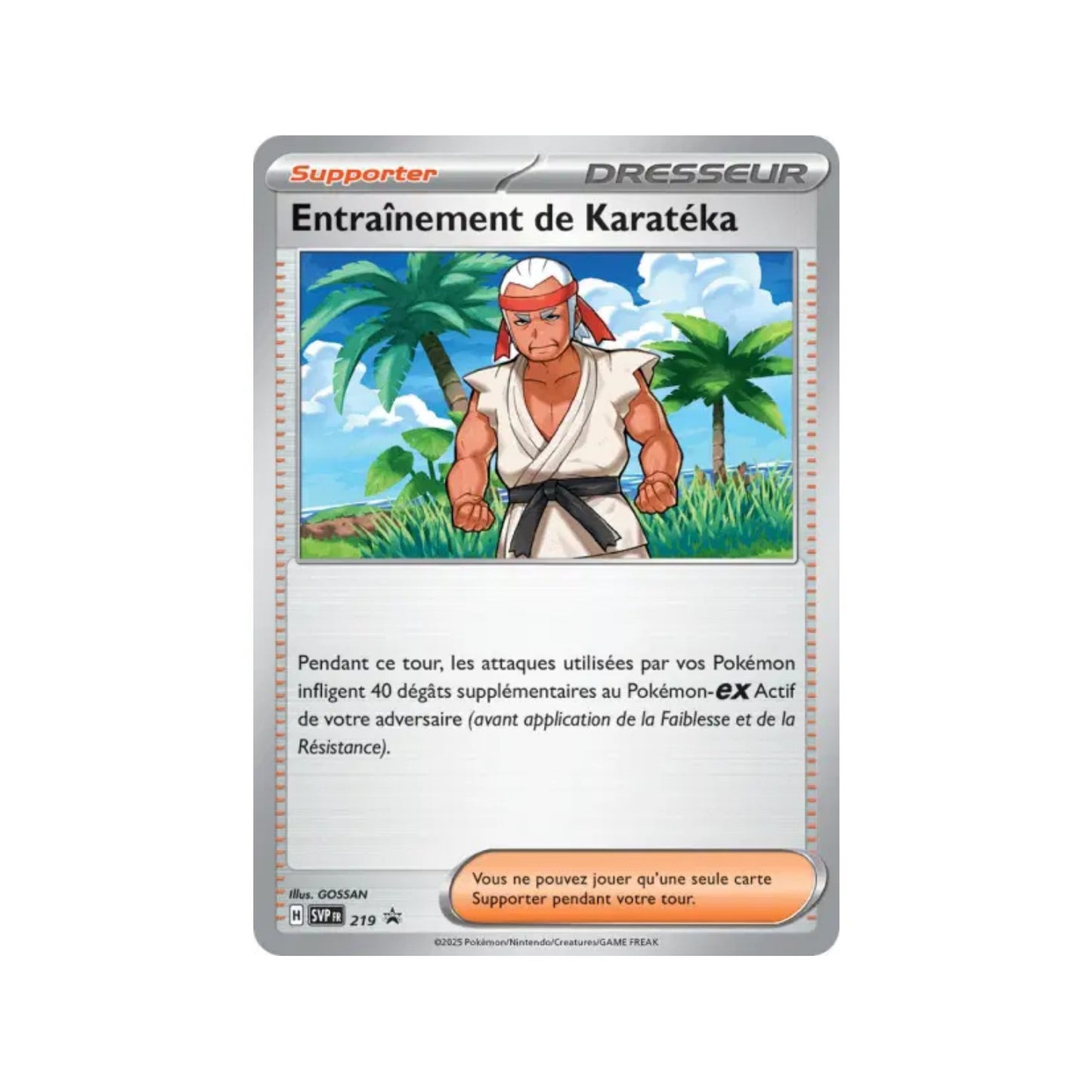 Entraînement de Karatéka (SVP 219) - FR