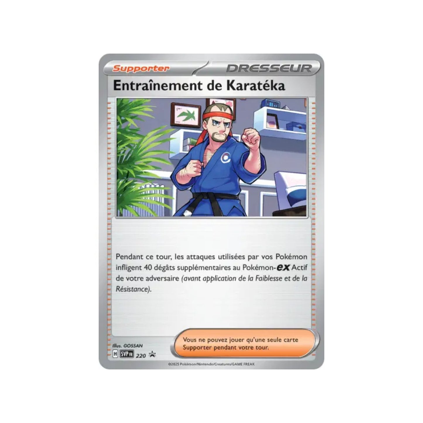 Entraînement de Karatéka (SVP 220) - FR