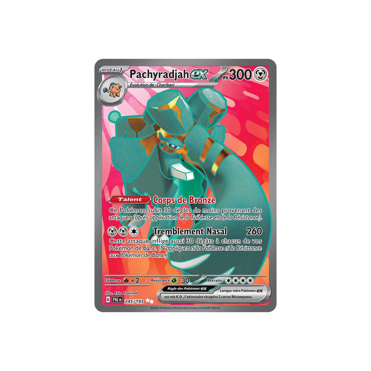 Pachyradjah ex (PAL 245) - FR