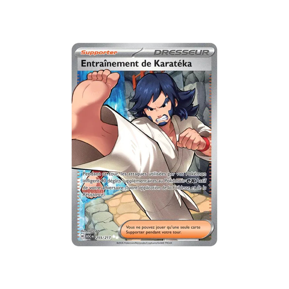 Entraînement de Karatéka (ASC 255) - FR