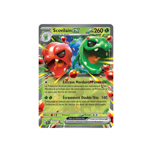 Scovilain ex (TEF 022) - FR