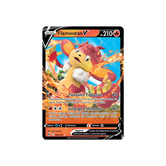 Flamoutan V (CRZ 022) - FR