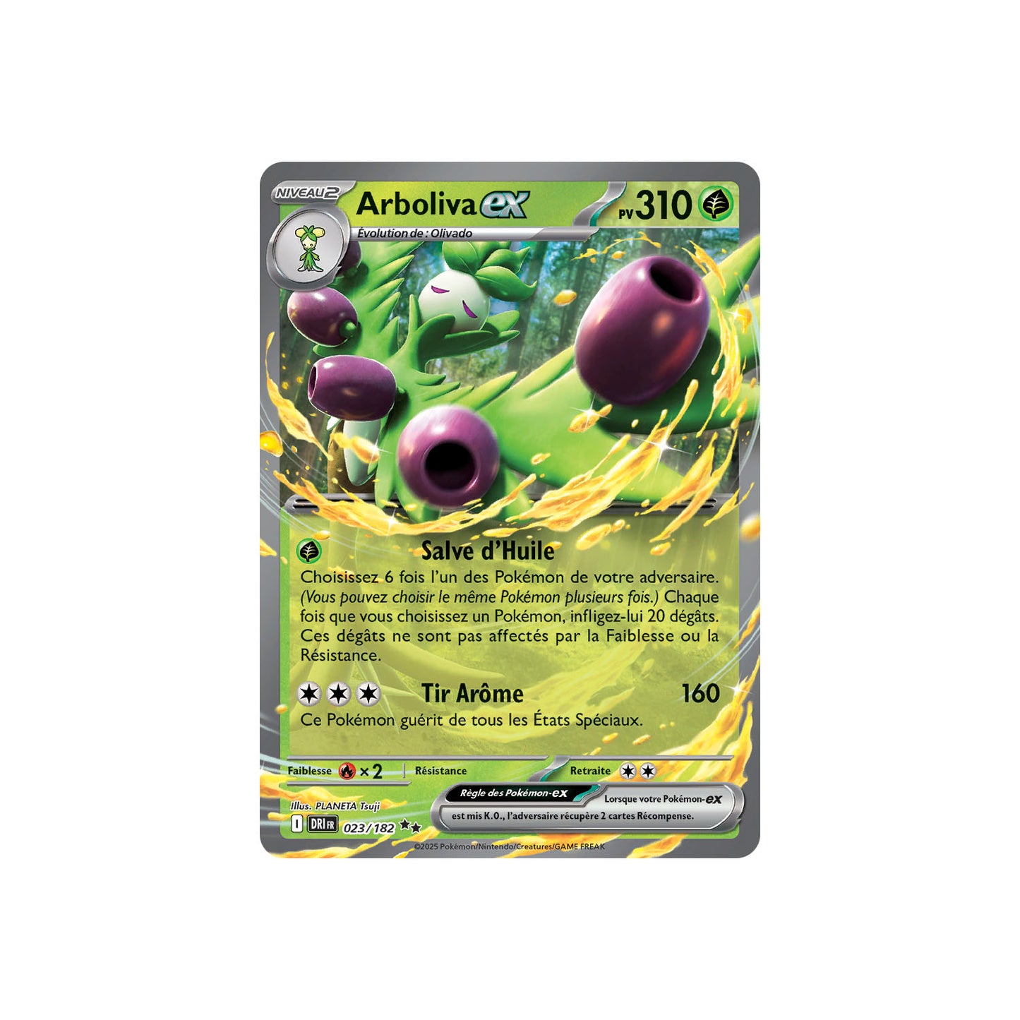 Arboliva ex (DRI 023) - FR