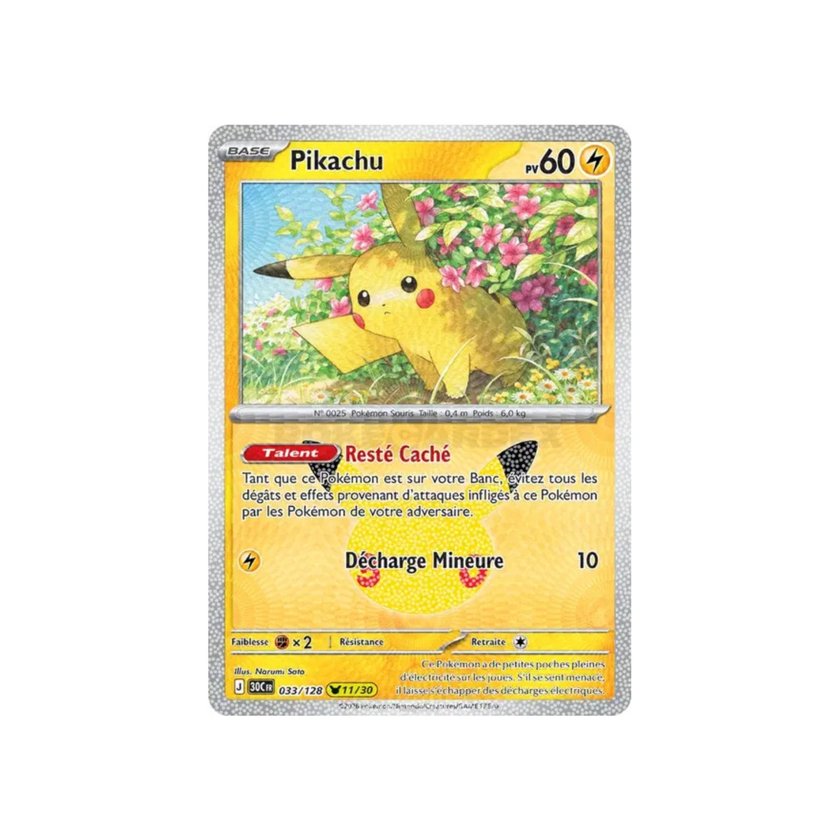 Pikachu (30C 033) - FR