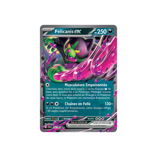 Félicanis ex (SFA 036) - FR