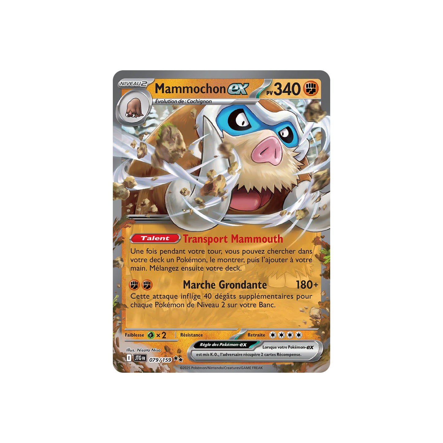 Mammochon ex (JTG 079) - FR