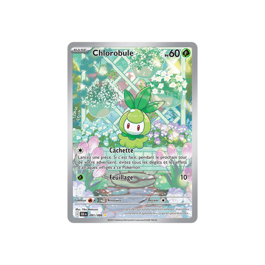 Chlorobule (BLK 091) - FR