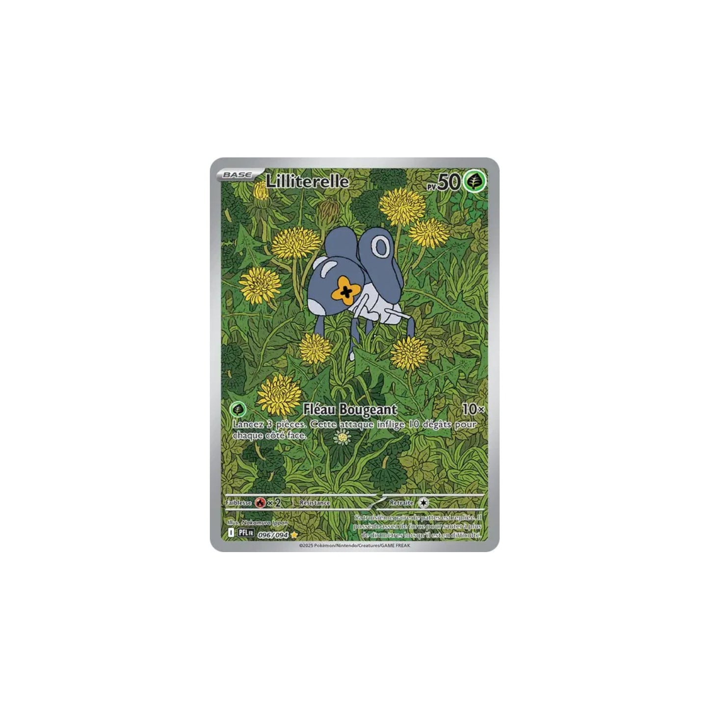 Lilliterelle (PFL 096) - FR