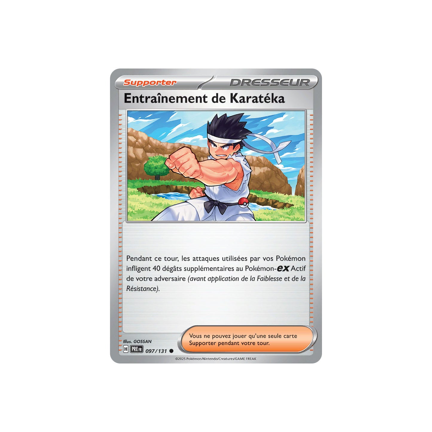 Entraînement de Karatéka (xPRE 097) - pokeball - FR