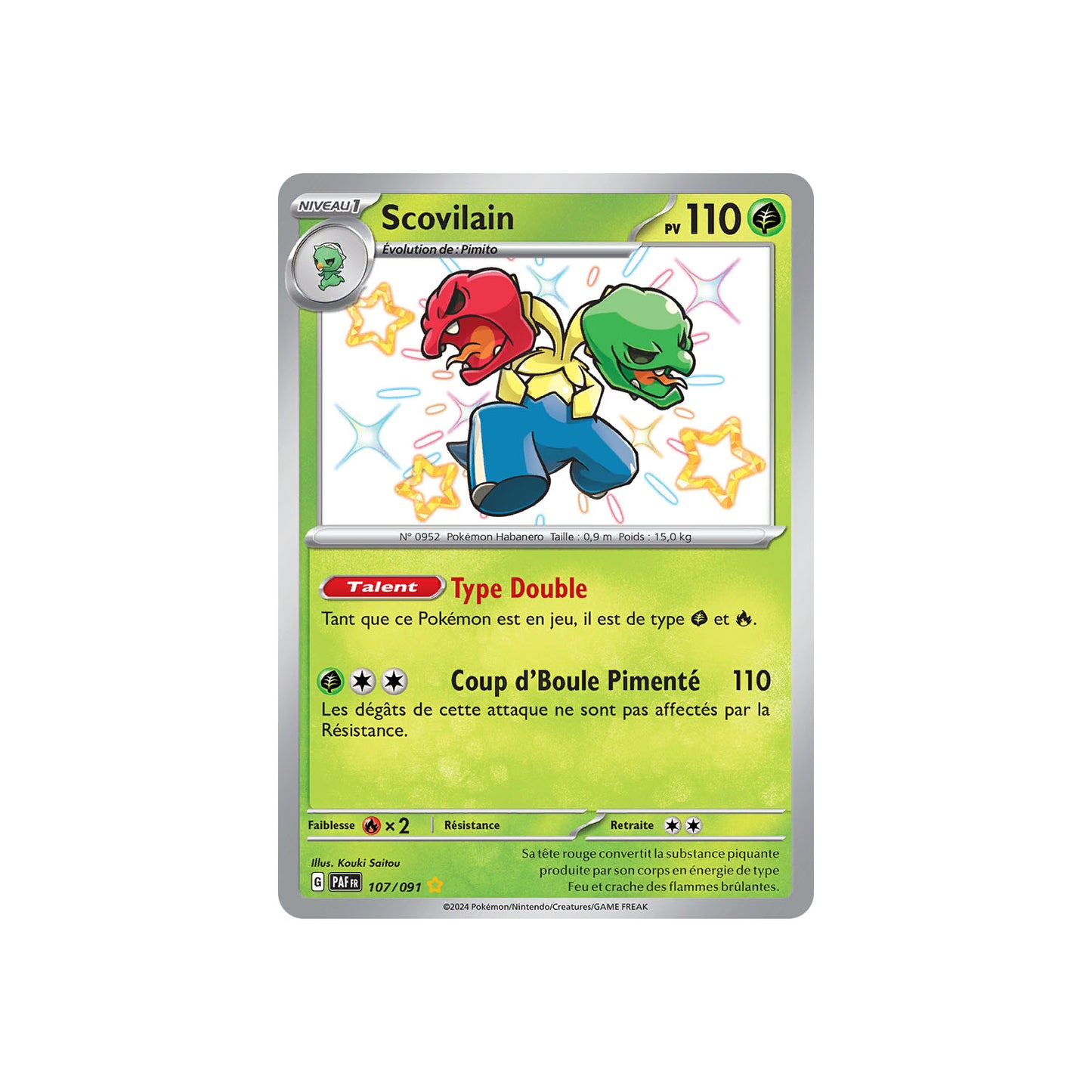 Scovilain (PAF 107) - FR