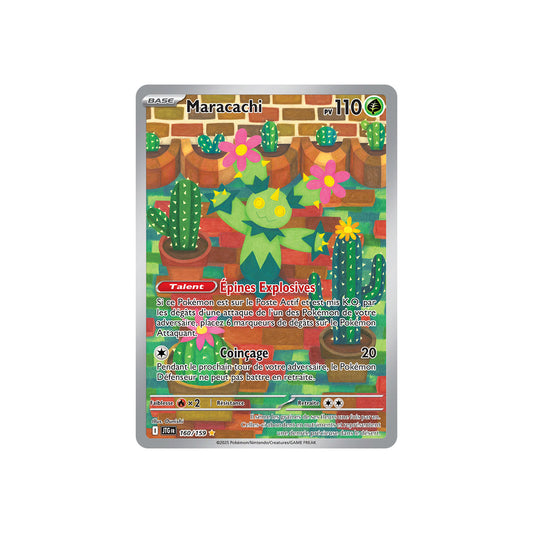 Maracachi (JTG 160) - FR