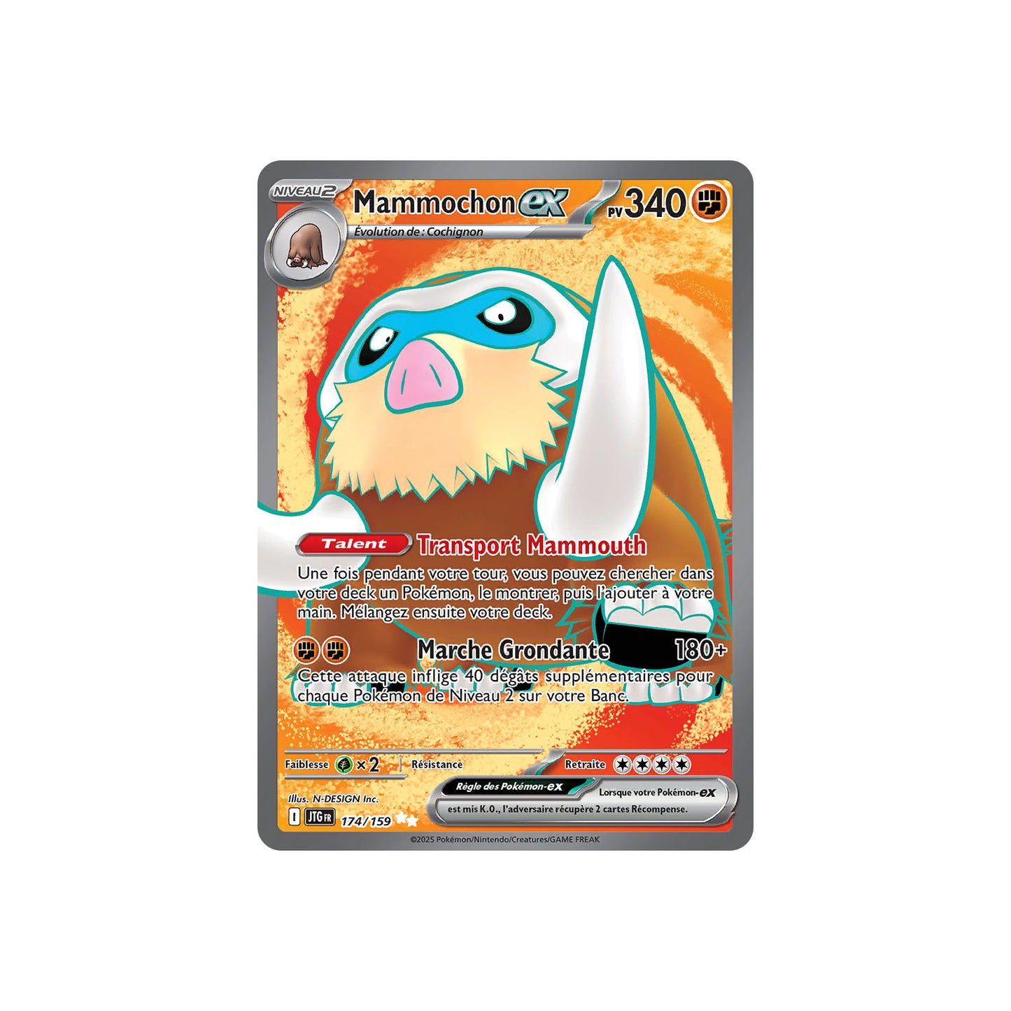 Mammochon ex (JTG 174) - FR