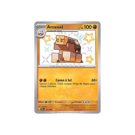 Amassel (PAF 177) - FR