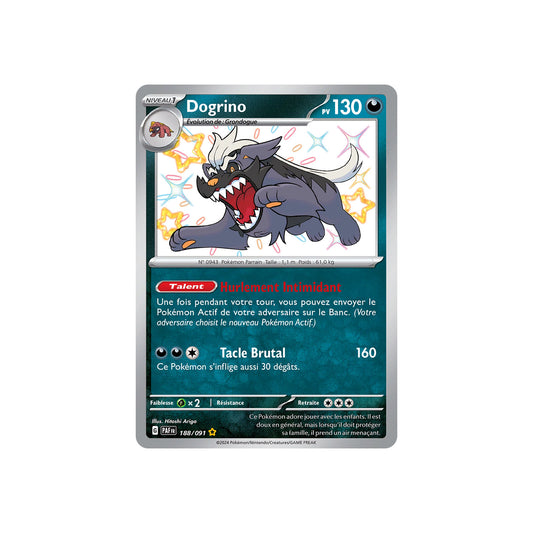 Dogrino (PAF 188) - FR