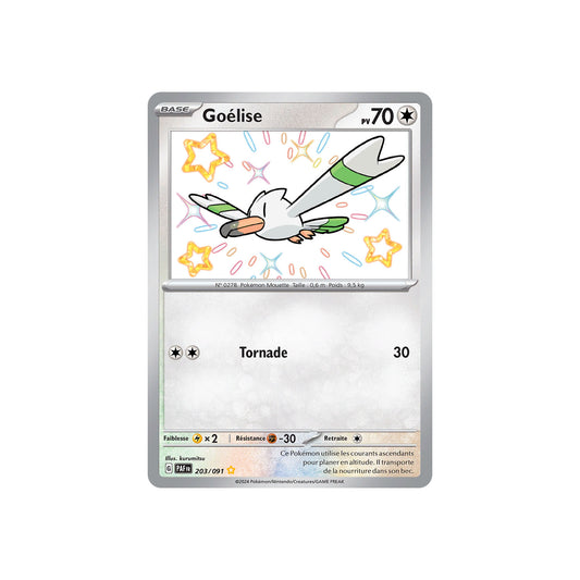 Goélise (PAF 203) - FR