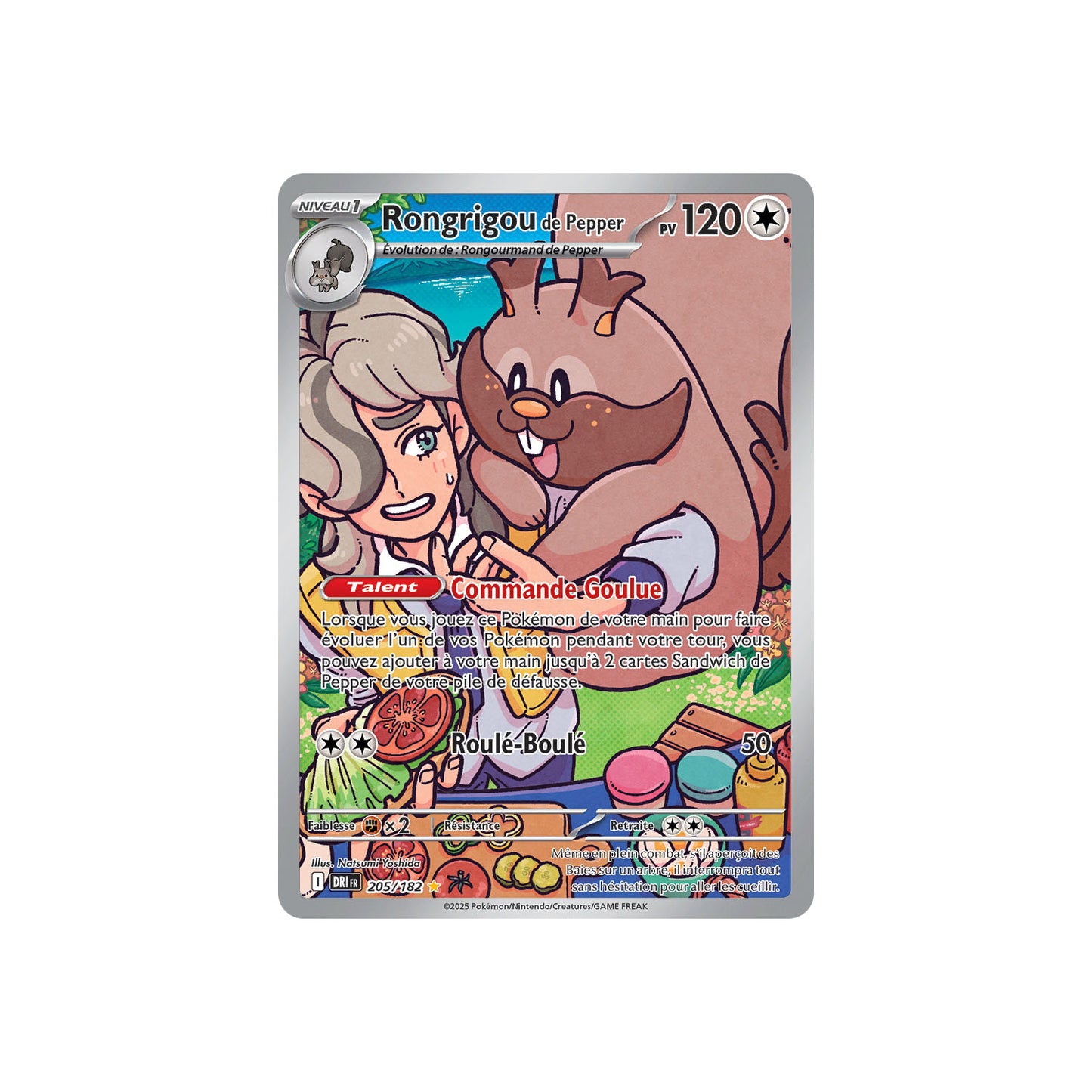 Rongrigou de Pepper (DRI 205) - FR