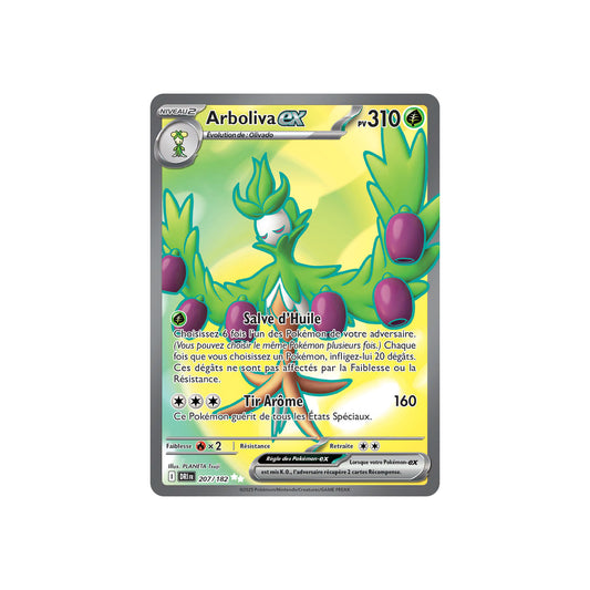 Arboliva ex (DRI 207) - FR
