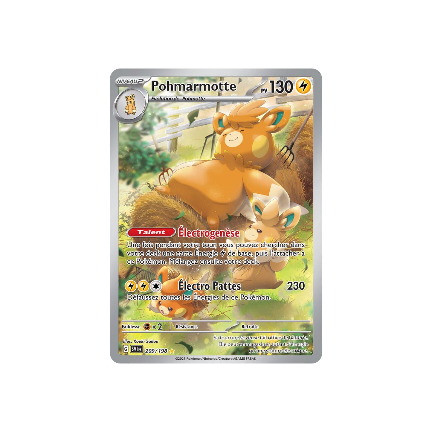 Pohmarmotte (SVI 209) - FR