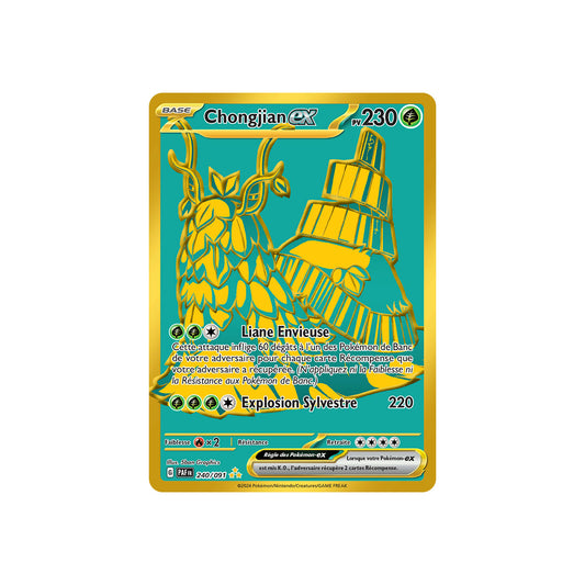 Chongjian ex (PAF 240) - FR