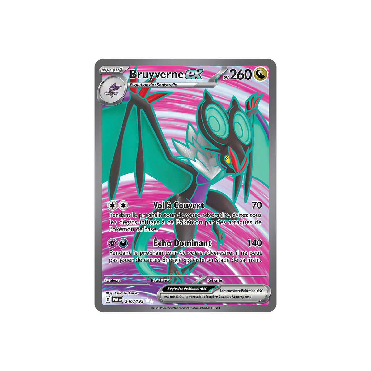 Bruyverne ex (PAL 246) - FR