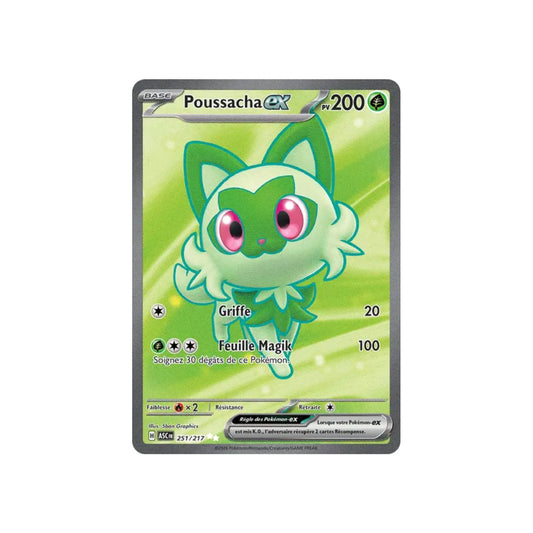 Poussacha ex (ASC 251) - FR
